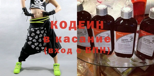 гашик Вяземский