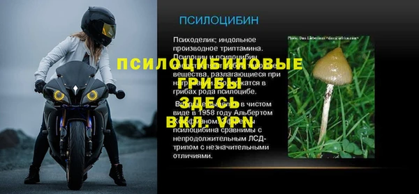 ALPHA PVP Горно-Алтайск