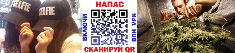 Бошки марихуана Bruce Banner  Ефремов 